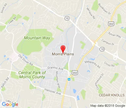 logo-image - morris-plains-nj